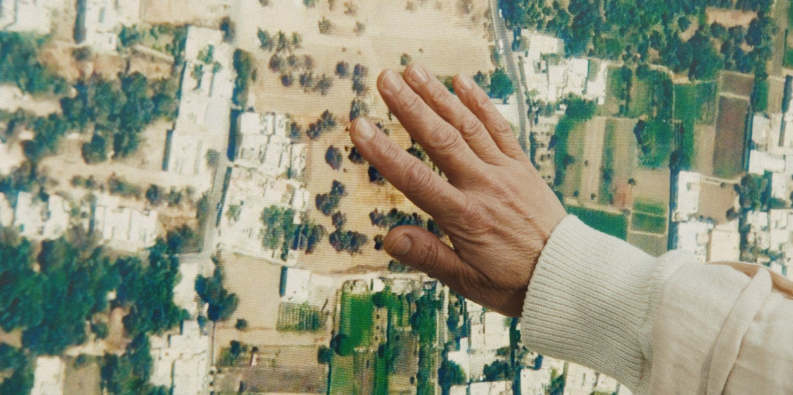 The Orchards