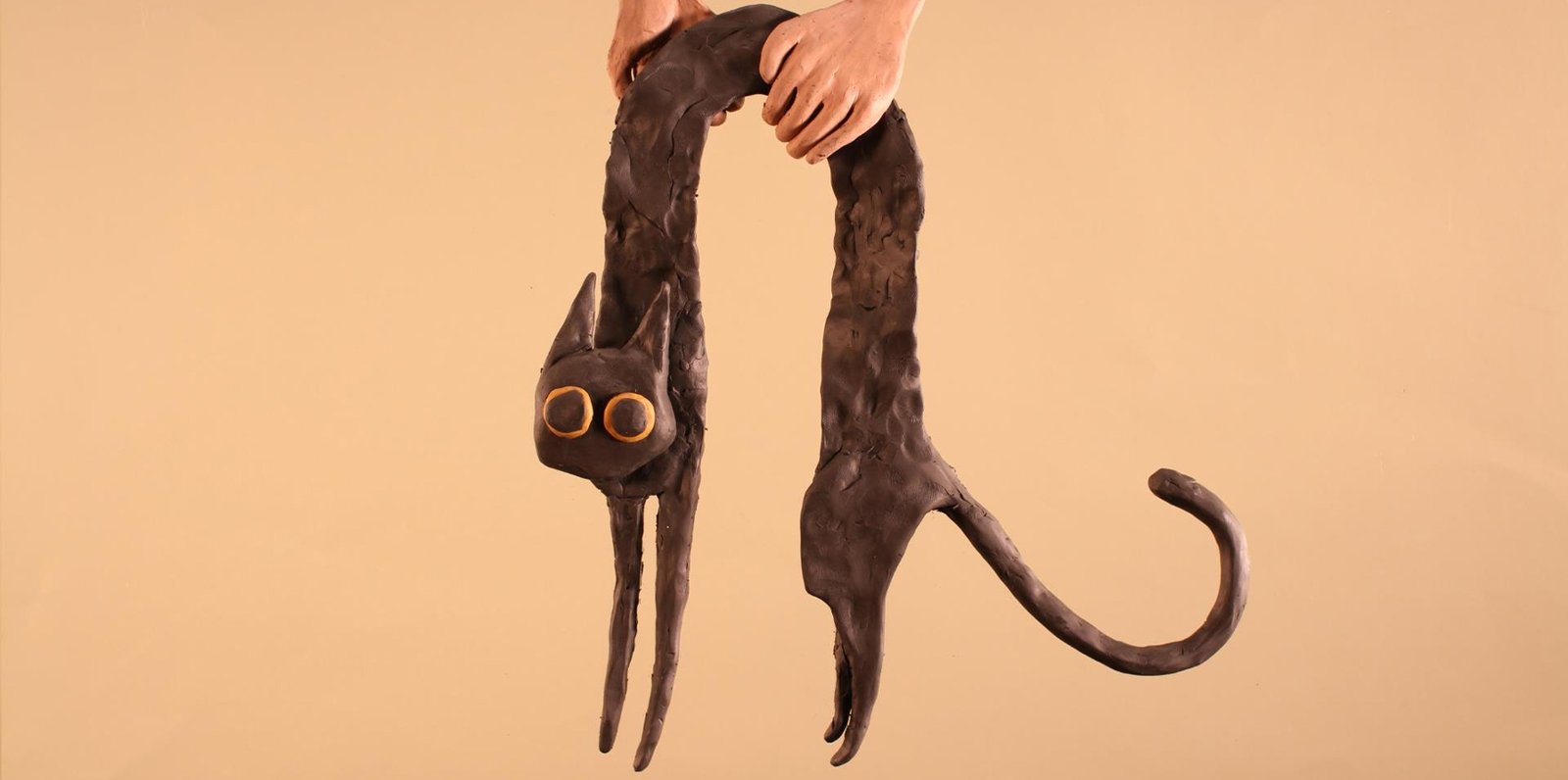Cats are Liquid